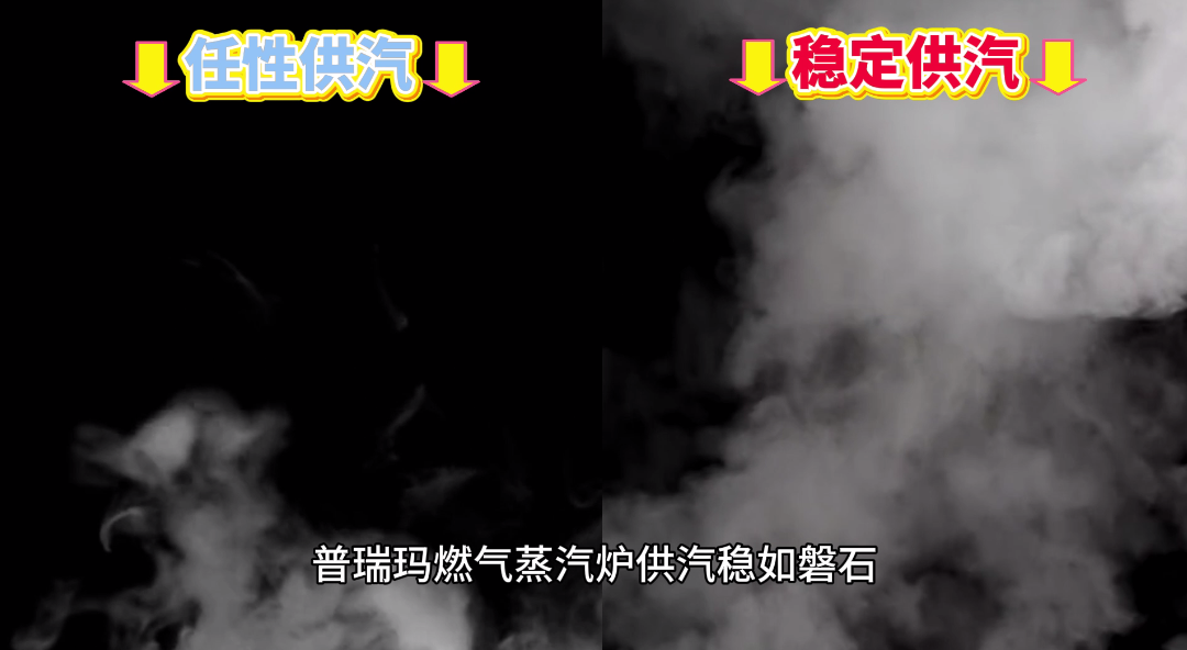 好品质蒸汽，就用普瑞玛燃气蒸汽炉.
